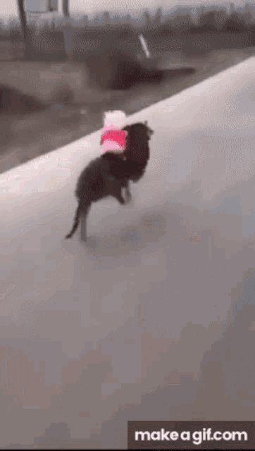 Peppa Pig Mounted GIF - Peppa Pig Mounted Dog GIFs