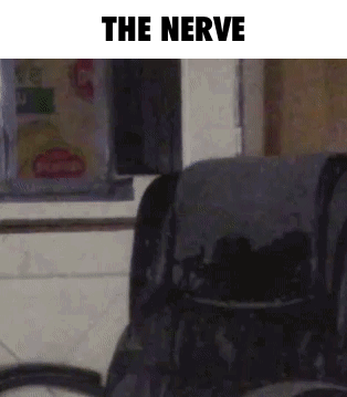 The Nerve Nerves GIF - The Nerve Nerves Joe Rogan GIFs