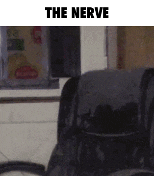 a picture of a chair with the words the nerve written above it