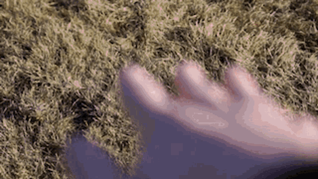 a person 's hand is reaching out towards a pile of dry grass .