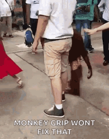 Funnygifs Monkeybusiness GIF - Funnygifs Monkeybusiness Monkey GIFs