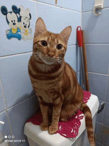 a cat is sitting on a toilet with a mickey mouse sticker on the wall