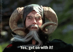 Monty Python Wizard GIF - Monty Python Wizard Get On With It GIFs