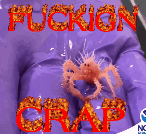 a picture of a crab and the words fuckion crap