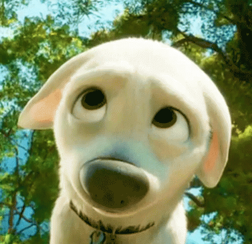 Disney Bolt GIF - Disney Bolt Super Dog GIFs