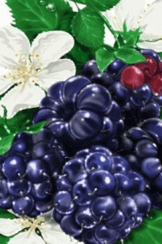 a bunch of blackberries surrounded by white flowers