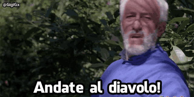 a man with a beard says andate al diavolo