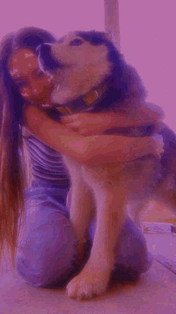a woman is kneeling down holding a husky dog with a purple background