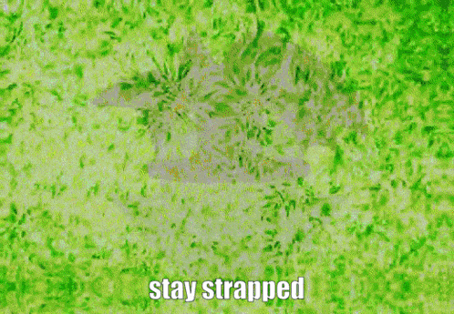 a cartoon of a girl and a green monster with the words stay strapped on the bottom right