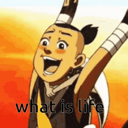What Are You Doing With Your Life Avatar GIF - What Are You Doing With Your Life Avatar Sokka GIFs