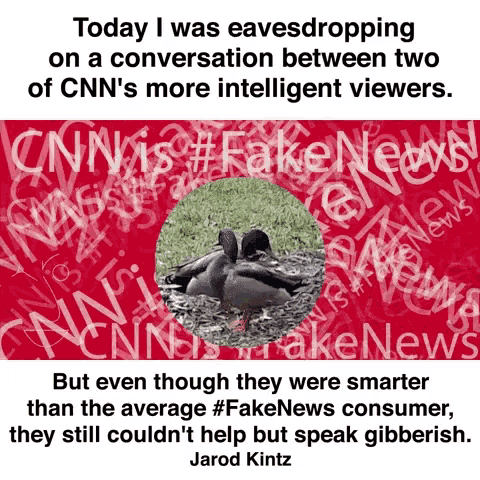 Duck Cnn Is Fake News GIF - Duck Cnn Is Fake News Eaves Drop GIFs