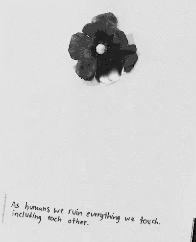 a black and white photo of a flower with the words " as humans we ruin everything we touch including each other " below it