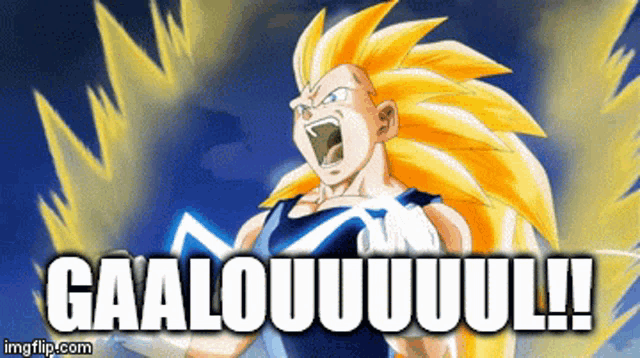a picture of a cartoon character with a caption that says gaalouuuul