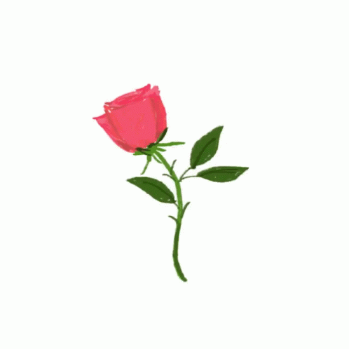 Love You More Rose GIF - Love You More Rose GIFs
