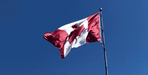 Canada Canadian Flag GIF - Canada Canadian Flag Waving Flag GIFs