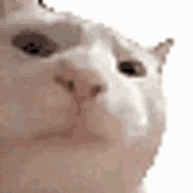 Vibe Cat Discord GIF - Vibe Cat Discord GIFs