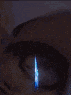 the name haylaz is displayed in blue letters on a dark background