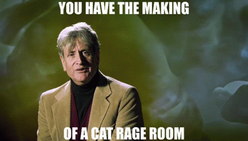 You Have The Making Of A Cat Rage Room Garfield GIF - You Have The Making Of A Cat Rage Room Cat Rage Room Garfield GIFs