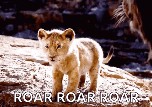 a picture of a lion cub with the words roar roar roar