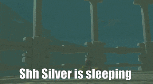 a cartoon of a woman sleeping with the words shh silver is sleeping below her