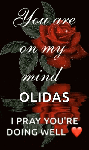a red rose with the words " you are on my mind olidas i pray you 're doing well " on it