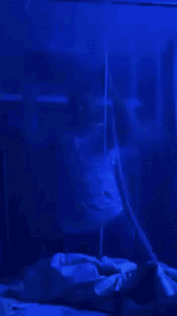 a person sitting at a table with a blue light behind them .