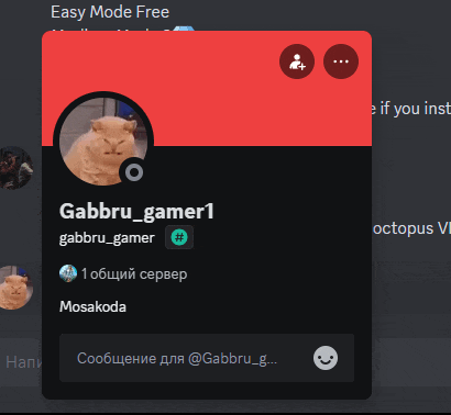 a screenshot of gabbru_gamer1 's profile on a discord server