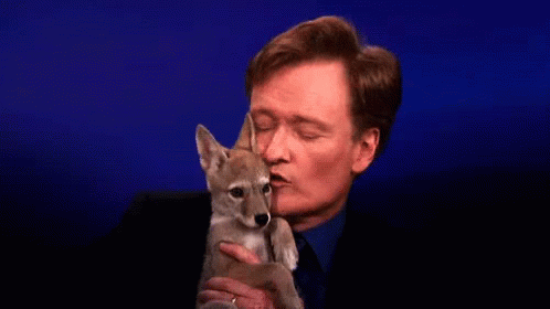 Intimate GIF - Kiss Conan O Brien Pets GIFs
