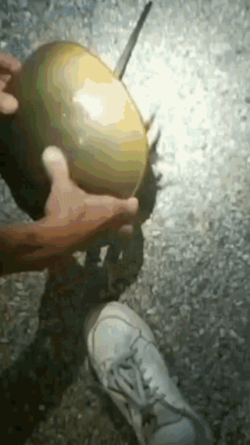a person is holding a yellow ball in their hands