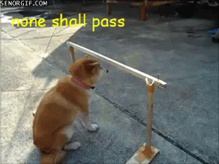 None Shall Pass - None GIF - None None Shall Pass Dog GIFs