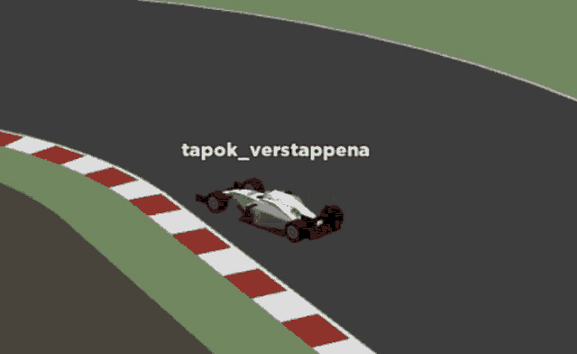 a white race car with the name tapok_verstappena on the bottom