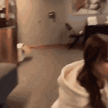 a woman in a white hoodie is standing in a room with a dog .