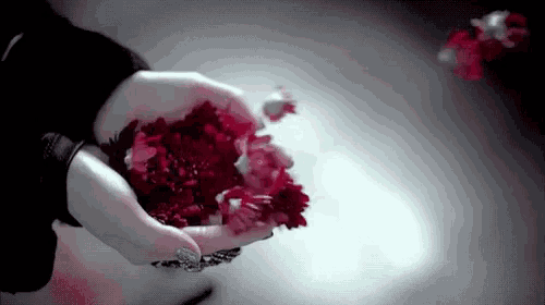 a woman is holding red flowers in her hands in a dark room .