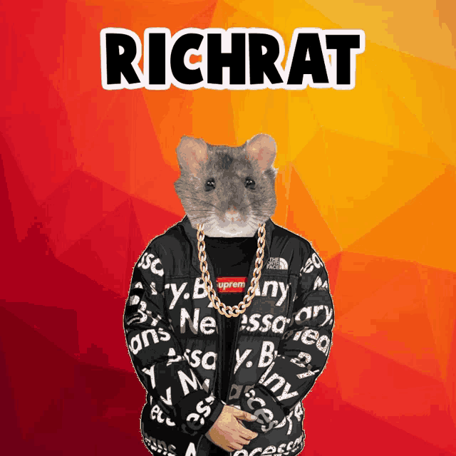 a picture of a rat wearing a supreme jacket and a gold chain