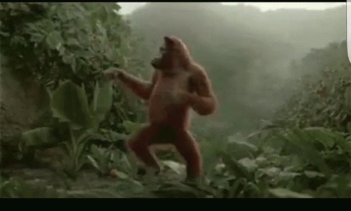 Dancing Orangutan GIF - Dancing Orangutan Monkey GIFs
