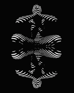 a black and white optical illusion of a person in a zebra print .