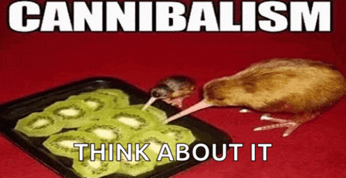 a kiwi bird is eating kiwi slices on a tray with the caption cannibalism think about it .
