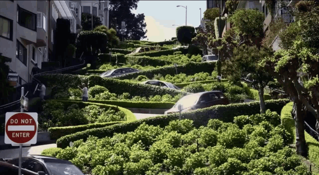 San Francisco GIF - San Francisco Lombard GIFs