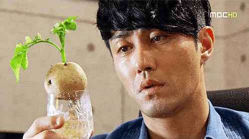 a man is holding a potato in a glass with water .