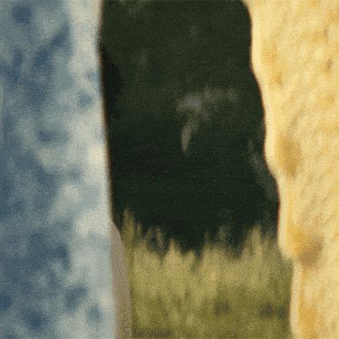 a blurry picture of a person standing in the grass