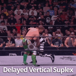 a wrestling match is being held in front of a crowd and the words delayed vertical suplex are visible .