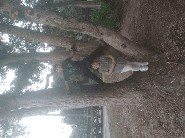 a boy and a girl are standing on a tree branch