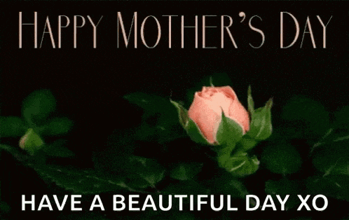 a pink rose with the words `` happy mother 's day have a beautiful day xo '' written above it .