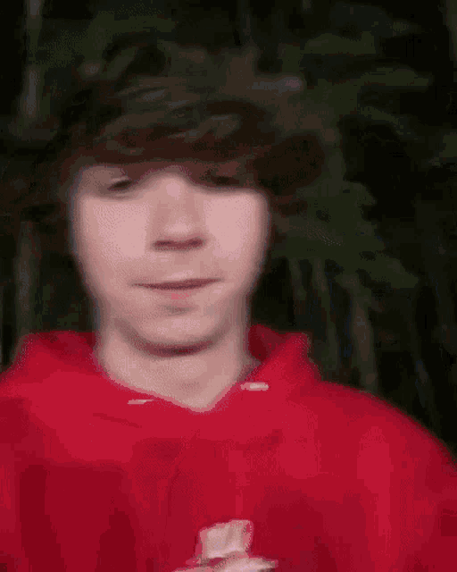 a young man wearing a red hoodie is standing in front of a tree .
