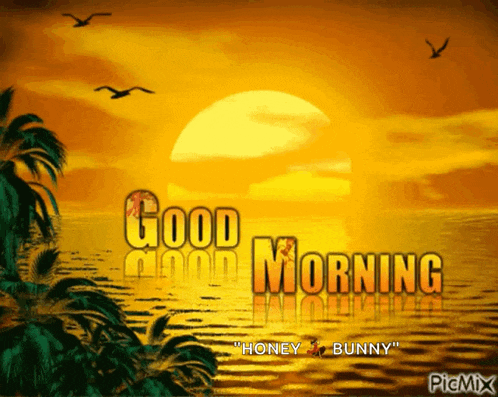 a picture of a sunset that says good morning