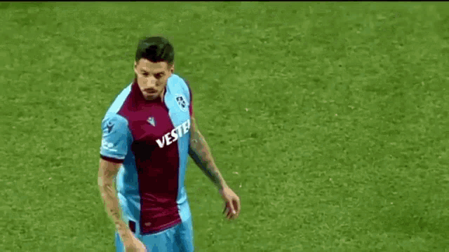 a soccer player wearing a purple and blue jersey with the number 20 on it is standing on the field .