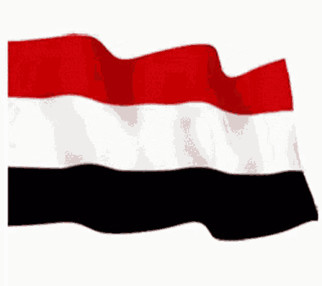 a red white and black flag waving in the wind on a white background