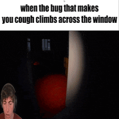 a man is playing a video game and says when the bug that makes you cough climbs across the window .