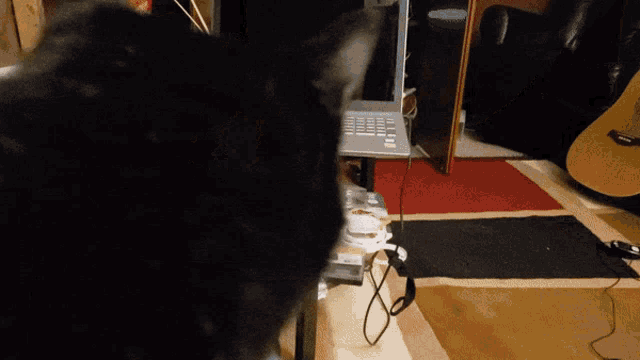 Funny Cute GIF - Funny Cute Sped Up GIFs