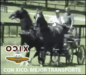 a picture of horses pulling a carriage with the words con xico mejor transporte